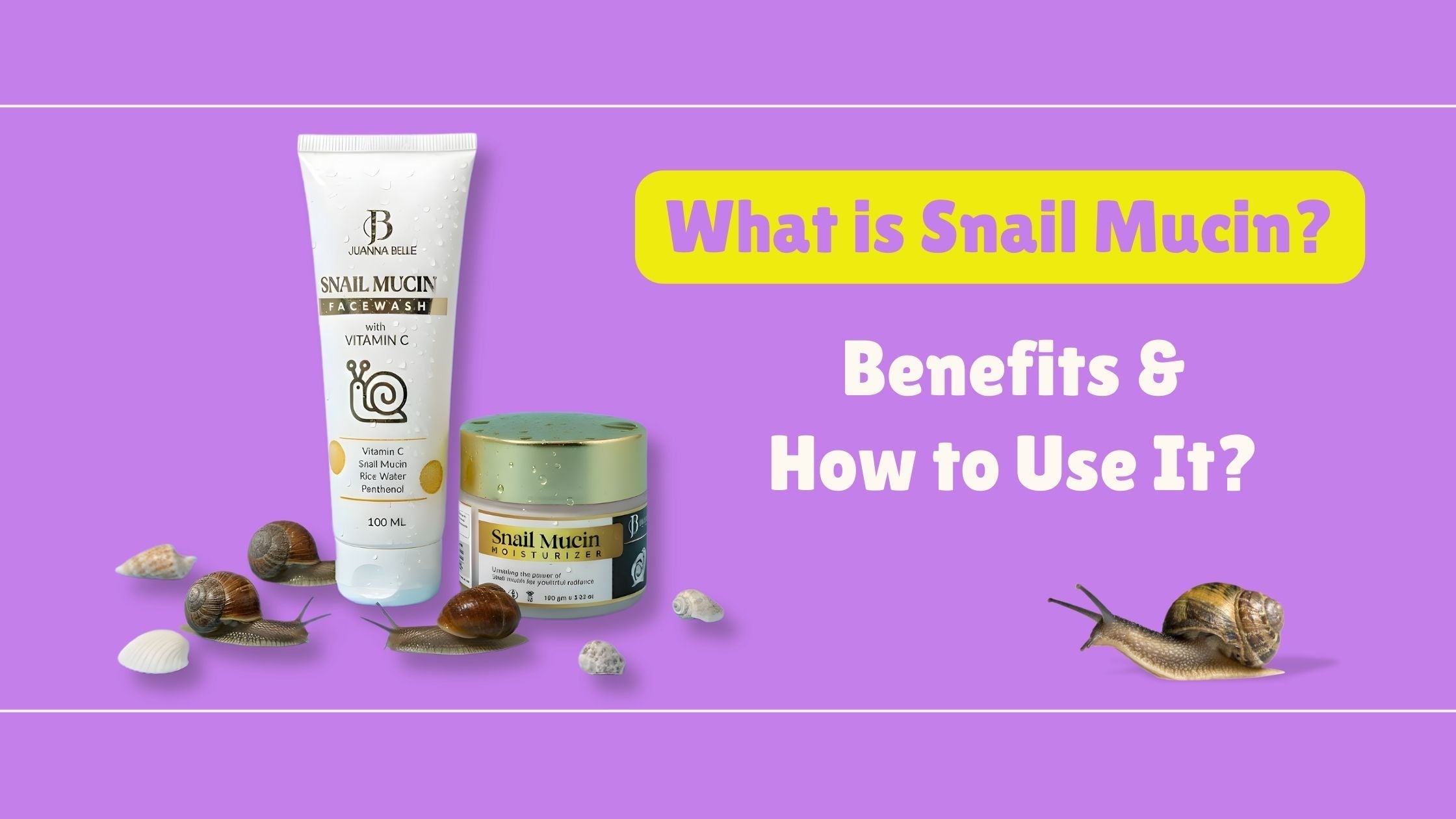 What Is Snail Mucin? Benefits and How to Use It?