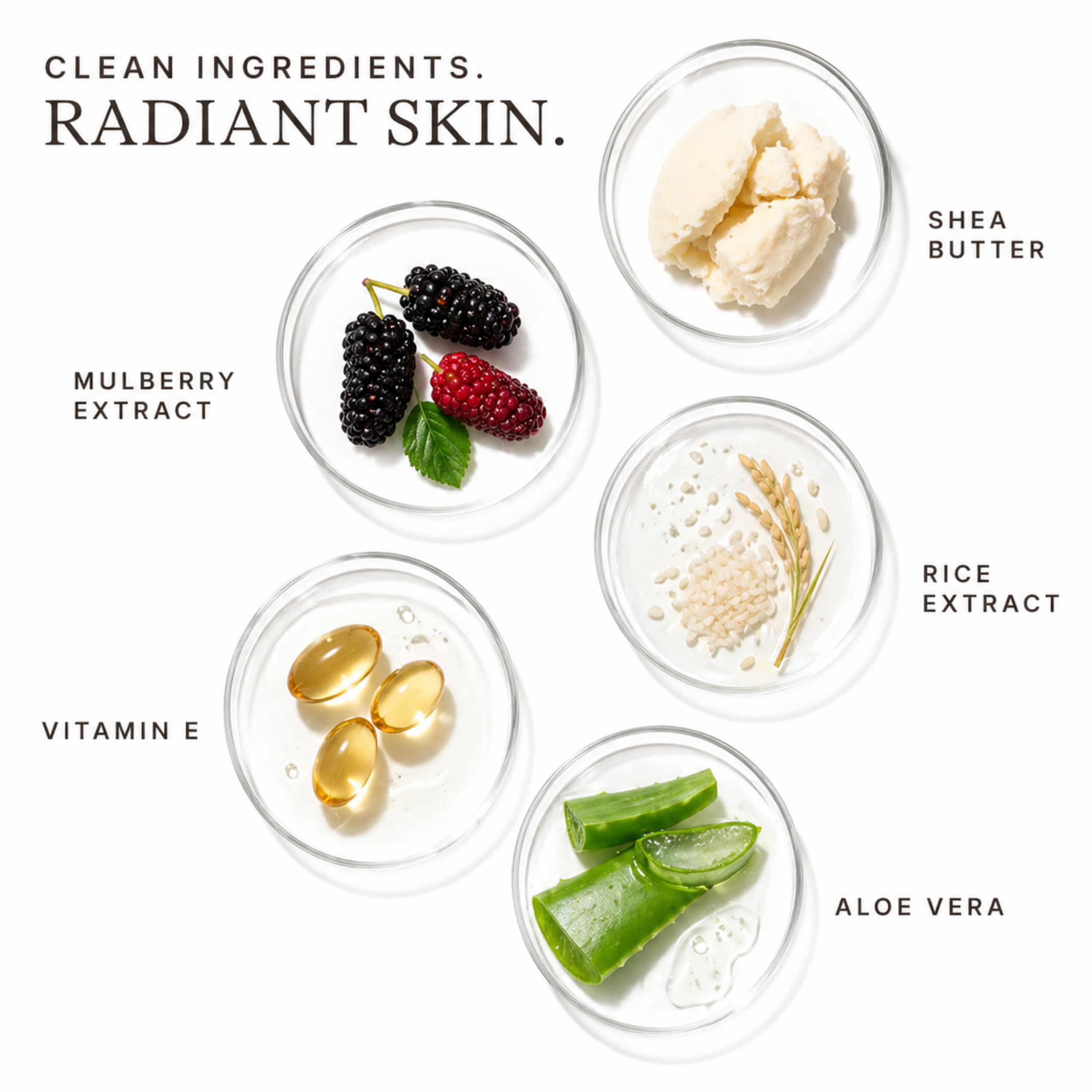 Anti Aging Day Cream
